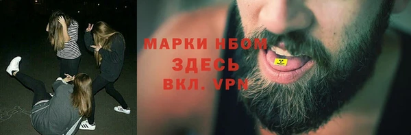 прущие грибы Алексин
