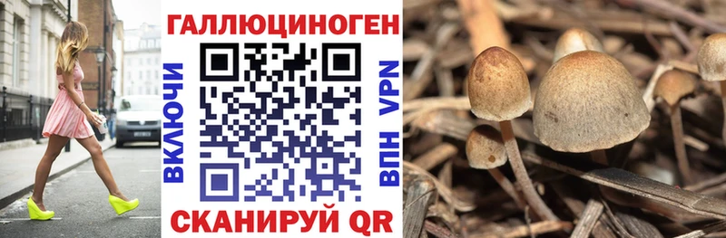хочу наркоту  Анапа  Галлюциногенные грибы Cubensis 